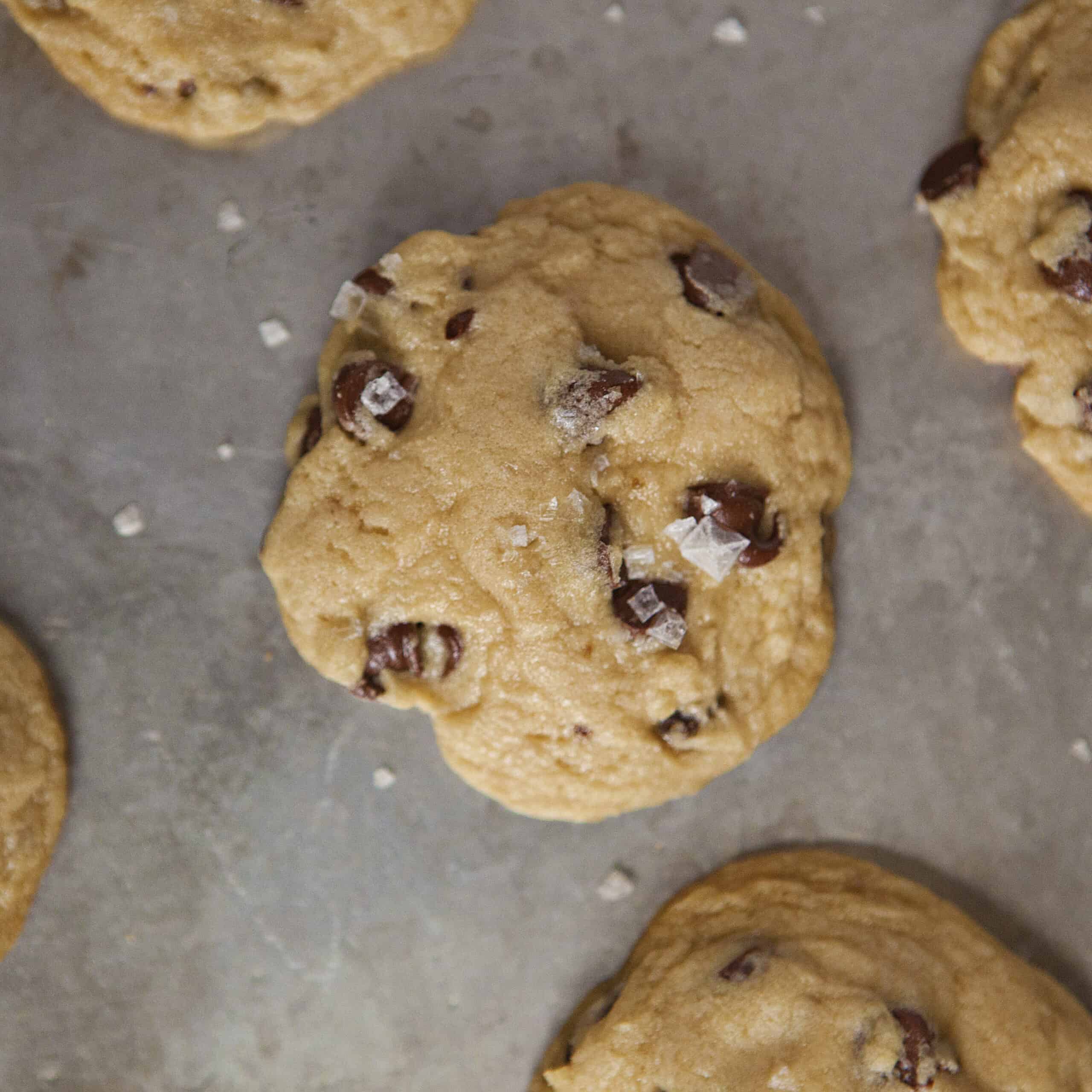 Chocolate chip cookies with sea salt flakes on a metal baking sheet.