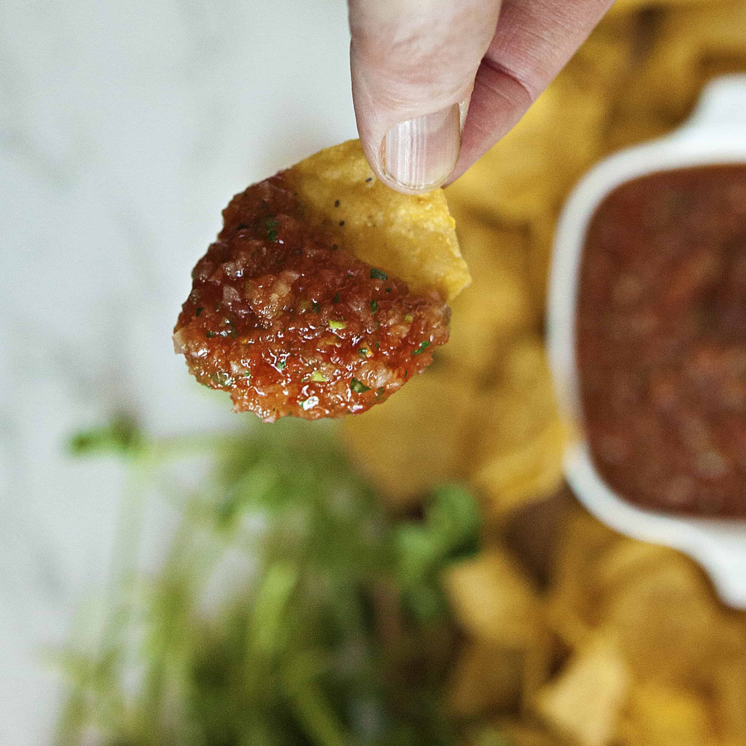 Homemade salsa on a tortilla chip being held in a hand, above a spread of more tortilla chips, salsa in a white dish, and fresh cilantro.